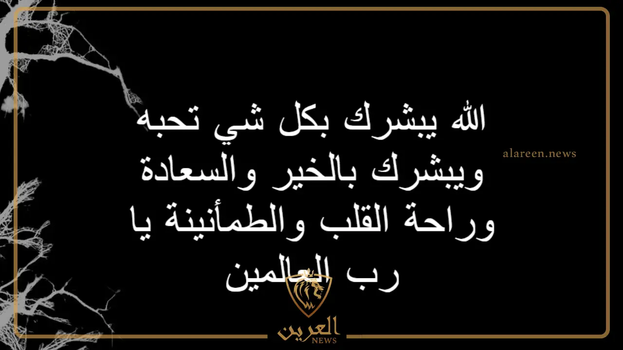 وش الرد على ابشر؟ كيف أرد على أحد قالي أبشر وش الرد على ابشر؟ كيف أرد على أحد قالي أبشر